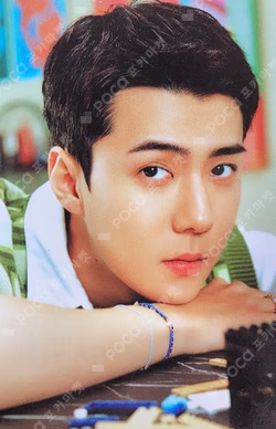 EXIST EXOcial Club – Cream Soda RANDOM TRADING CARD SET C ver.