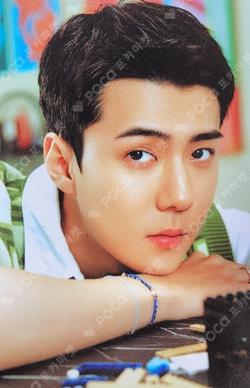 EXIST EXOcial Club – Cream Soda RANDOM TRADING CARD SET C ver. SEHUN photocard image