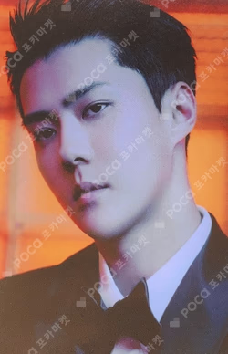 EXIST EXOcial Club – Cream Soda RANDOM TRADING CARD SET B ver.