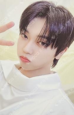 BEAUTIFUL SHADOW WHITE NIGHT Ver.