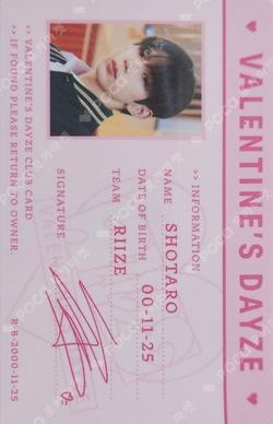VALENTINE'S DAYZE REMOVABLE STICKER + ID CARD SET