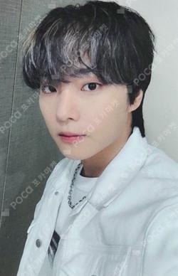 BEAUTIFUL SHADOW SOUND WAVE