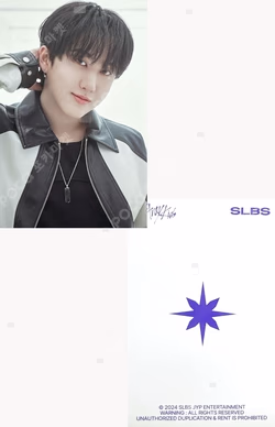 SLBS Stray Kids Edition for Galaxy S24+ CHANGBIN photocard image