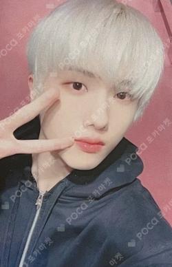 NCT JISUNG photocard image