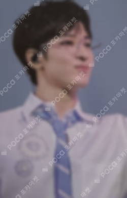 SEVENTEEN EXHIBITION FOLLOW FELLOW PHOTOCARD SET