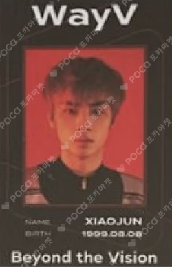 Beyond the Vision ID CARD + DECO STICKER SET