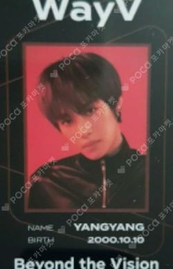 Beyond the Vision ID CARD + DECO STICKER SET