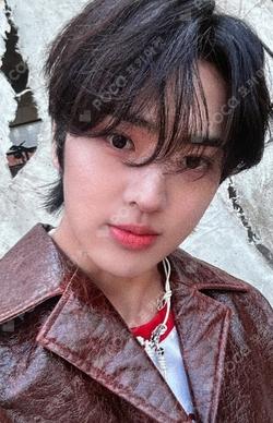 TEMPEST Voyage EVERLINE