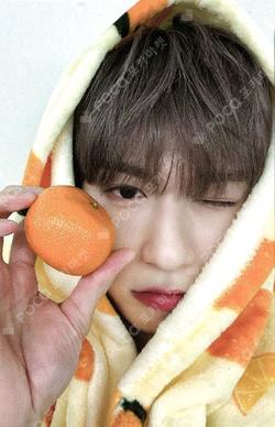 La Dolce Vita MAKESTAR