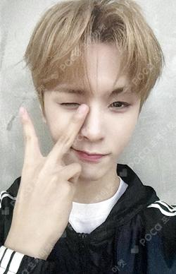 NEW CHAPTER : LUCEAT MUSICART YOOJUN photocard image