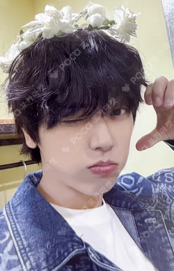 BEAUTIFUL SHADOW JUMP UP