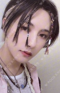 Hot Sauce PHOTO CARD DECO SET