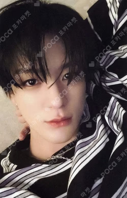 Hot Sauce PHOTO CARD DECO SET