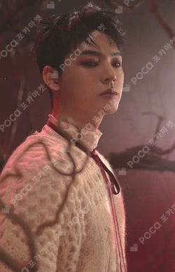 BEAUTIFUL SHADOW POCA ver.