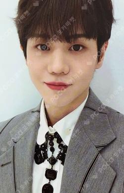 DAYDREAM BEATROAD YANG YO SEOP photocard image