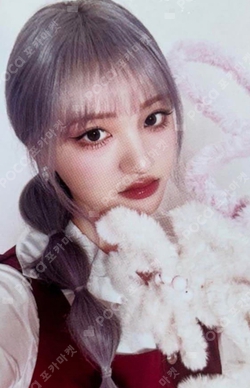 PSA10 K-POP リズフォトカード ALIVE IVE ホゲータ　Liz PSA10 K-POP リズフォトカード ALIVE IVE ホゲータ Liz - メルカリ