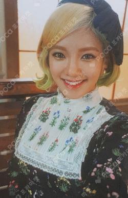 Lion Heart HYO photocard image