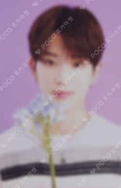 HAPPY HARUA DAY BIRTHDAY KIT HARUA photocard image