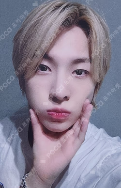 ONE HEARTED DEAR MUSICART