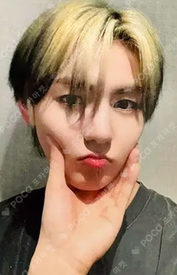 ONE HEARTED DEAR MUSICART