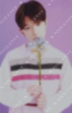 HAPPY HARUA DAY BIRTHDAY KIT HARUA photocard image