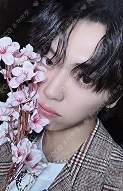 BEAUTIFUL SHADOW EVERLINE MINKYUN photocard image