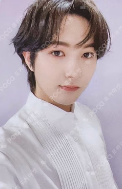 DREAM( )SCAPE INTERASIA