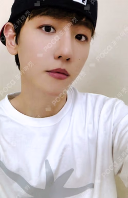 2024 BAEKHYUN BIRTHDAY CAFE STOCK : 0506 SCRATCH LUCKY DRAW