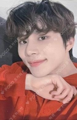 SLOWACID X TEDDYISLAND