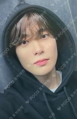 SLOWACID X TEDDYISLAND