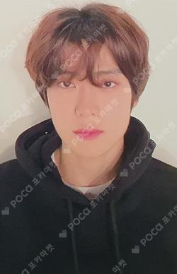 SLOWACID X TEDDYISLAND