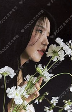 COLOURS Nemo Reborn Beige Ver.