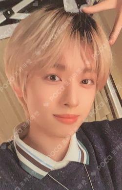 Troubleshooting PLATFORM ALBUM_NEMO VER. Gaon photocard image