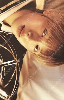 Troubleshooting PLATFORM ALBUM_NEMO VER.