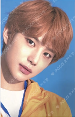 2019 SEASON'S GREETING 11st