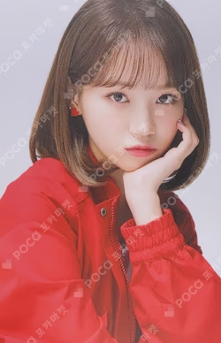 Twelve Random Photocard