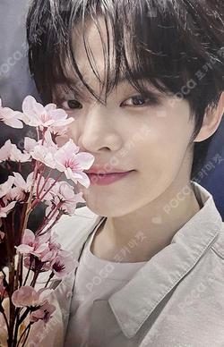 NEW CHAPTER : LUCEAT DEAR MY MUSE