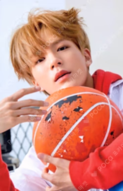 NCT DREAM PASSPORT WALLET
