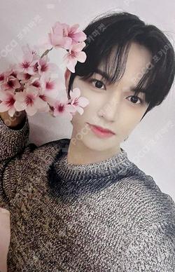 NEW CHAPTER : LUCEAT DEAR MY MUSE