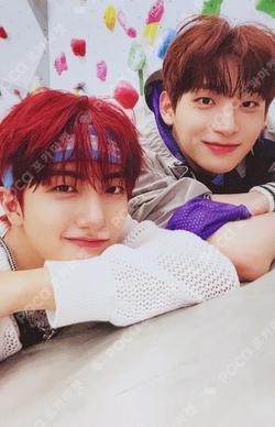 SUN SEEKER CATCHER VER.