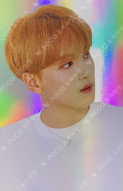 We Go Up HOLOGRAM PHOTO CARD SET