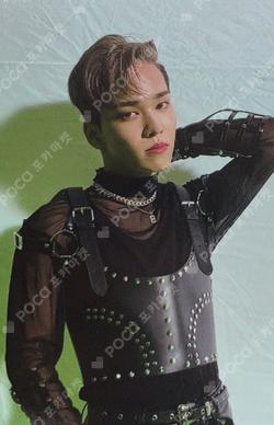 Goosebumps Dahlia Ver.