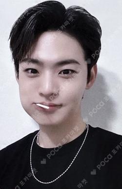 SPOTLIGHT IN JAPAN TRADING CARD FILE