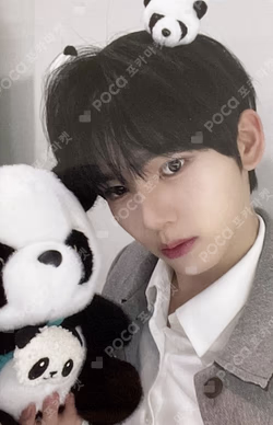 You had me at HELLO SOLAR ver. APPLEMUSIC