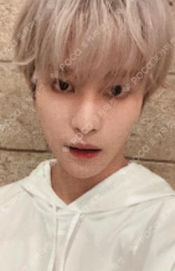 2021 SEASON'S GREETINGS PHOTO PACK