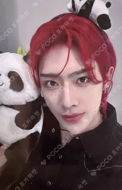 You had me at HELLO SOLAR ver. APPLEMUSIC