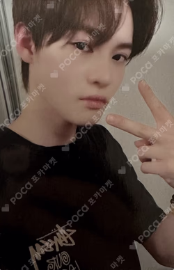 DREAM( )SCAPE FANPLEE