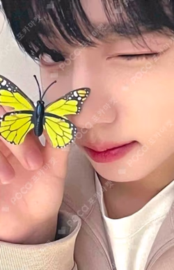 You had me at HELLO ZEROSE ver.(POCAALBUM) MAKESTAR LUCKY DRAW