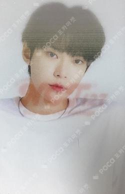 2022 SEASON'S GREETINGS knpops