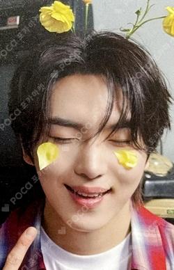 If this is love, I want a refund Expectation ver. KINO photocard image